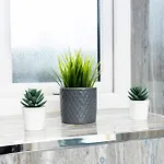 Sheila's Casa vacanze